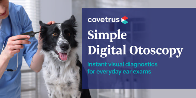 Digital Otoscope Banner
