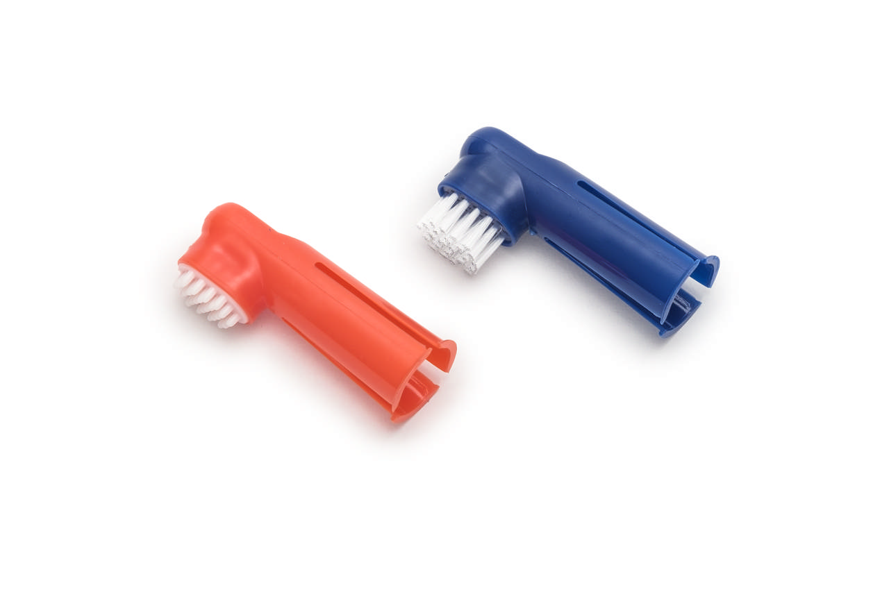 Dental Care Kit