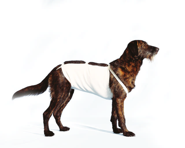 Abdominal Bandage