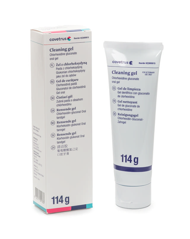 Dental Chlorhexidine Paste