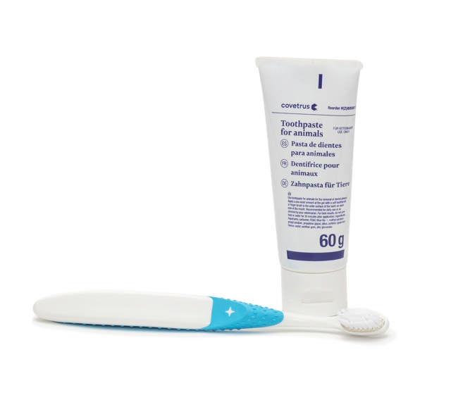 Dental Cleaning Kit