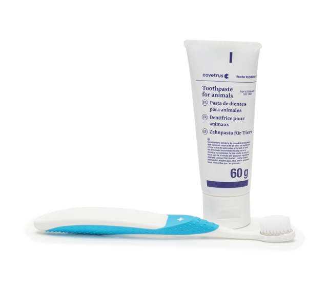 Dental Cleaning Kit