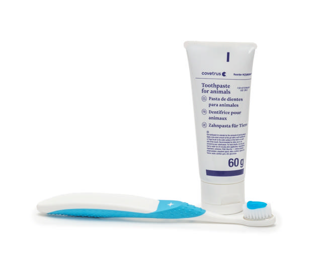 Dental Cleaning Kit