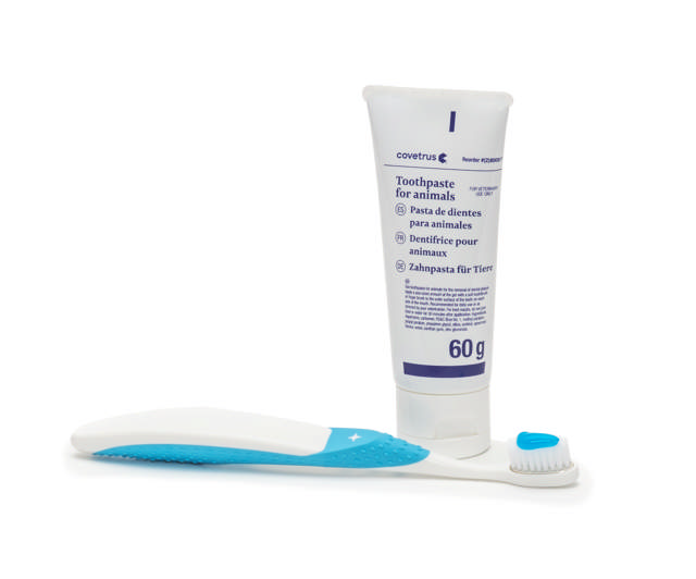 Dental Cleaning Kit