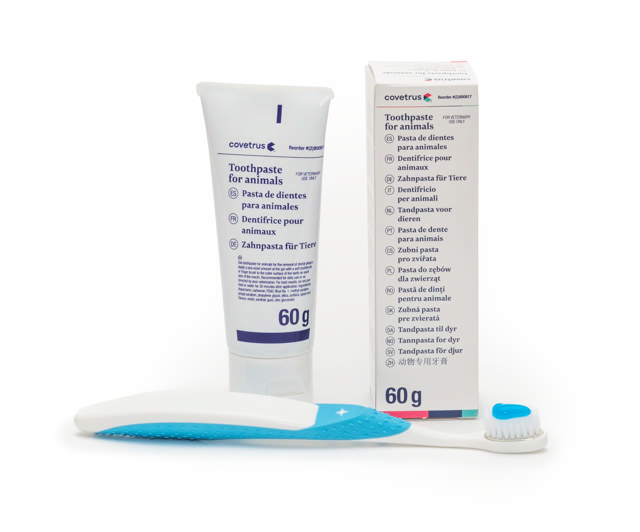 Dental Cleaning Kit