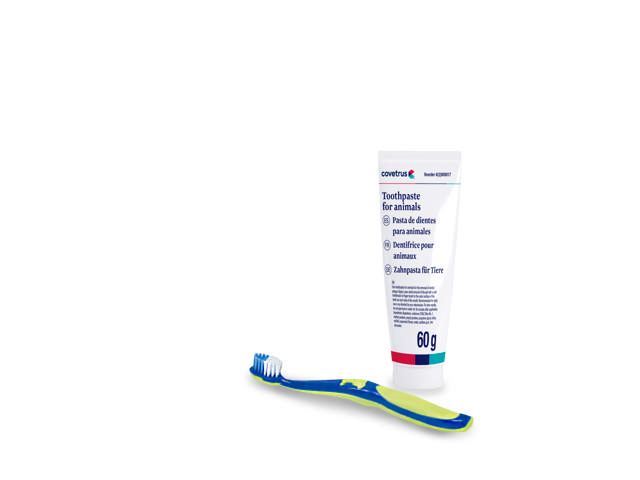 Dental Cleaning Kit