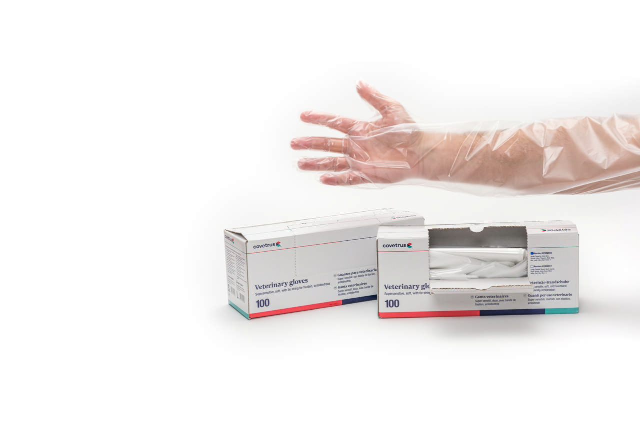 Veterinary Gloves Supersensitive with Fixation Band Transparent