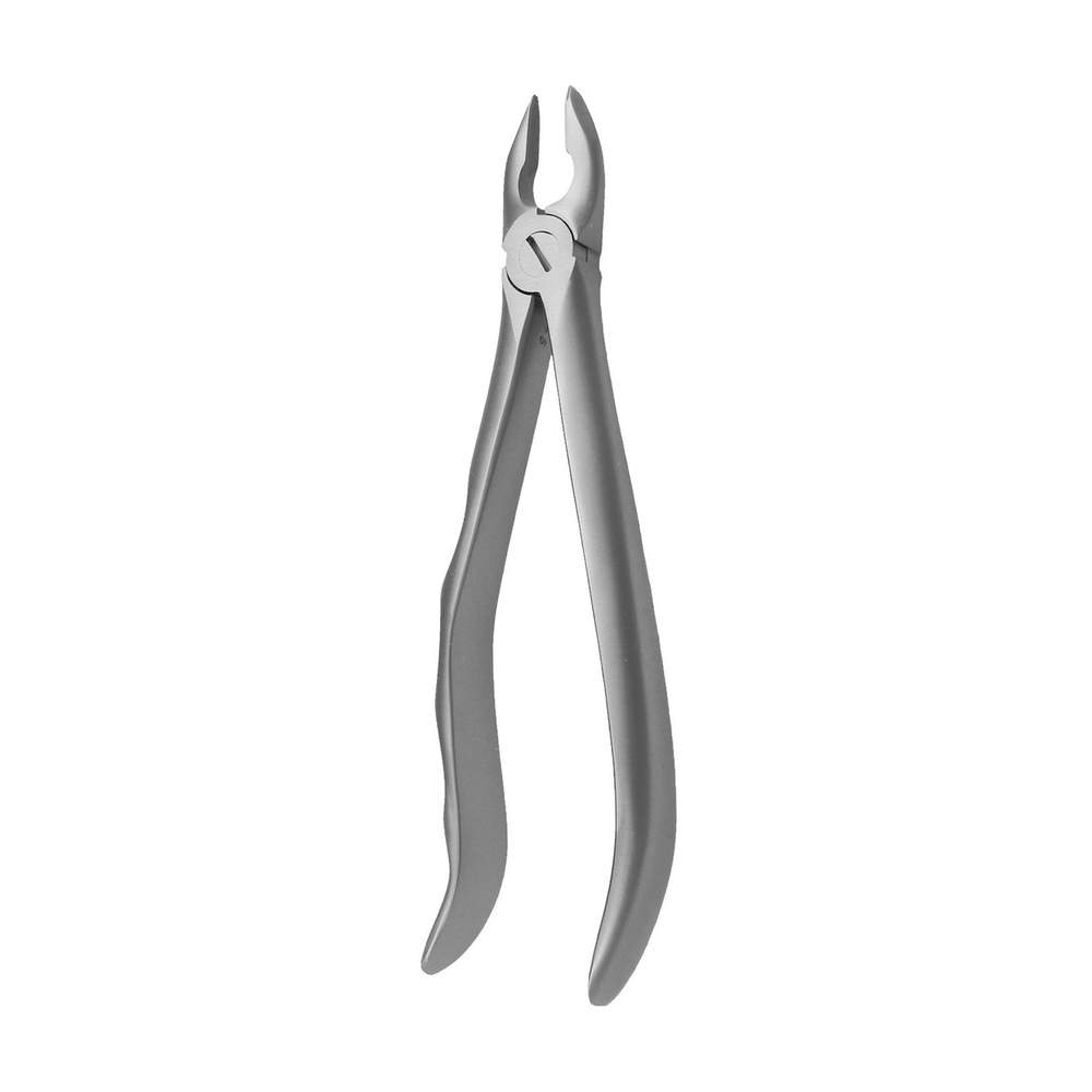 Extracting Forceps – Incisors & Canines