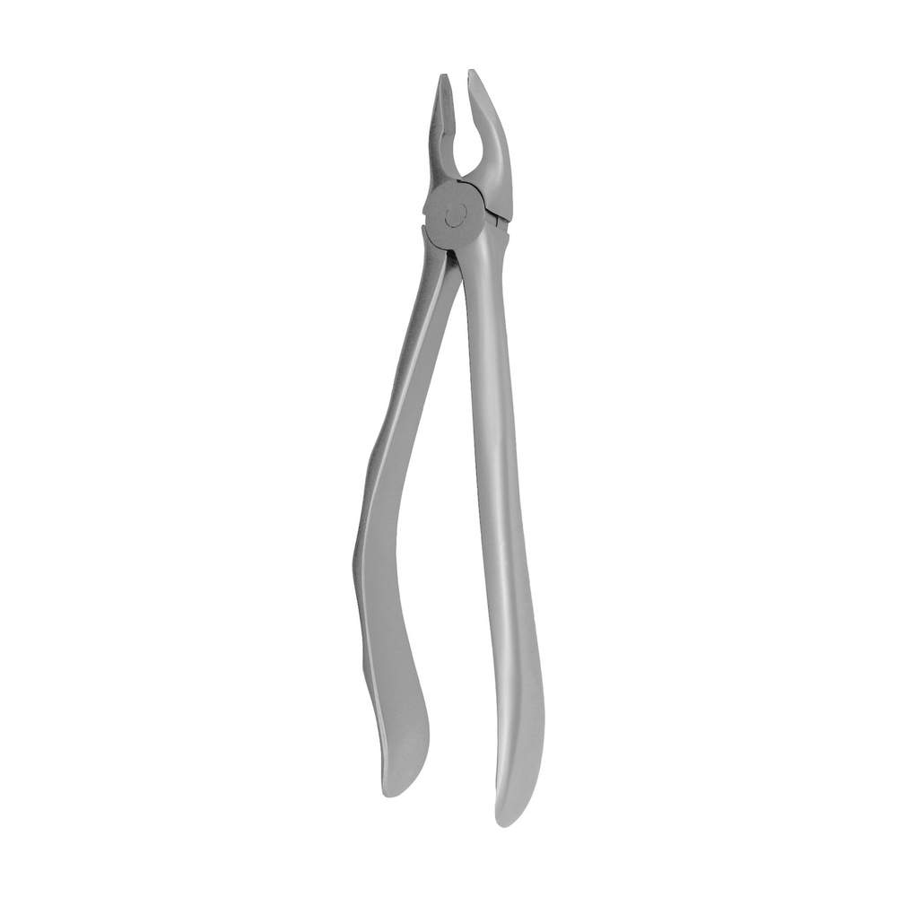 Extracting Forceps – Premolars