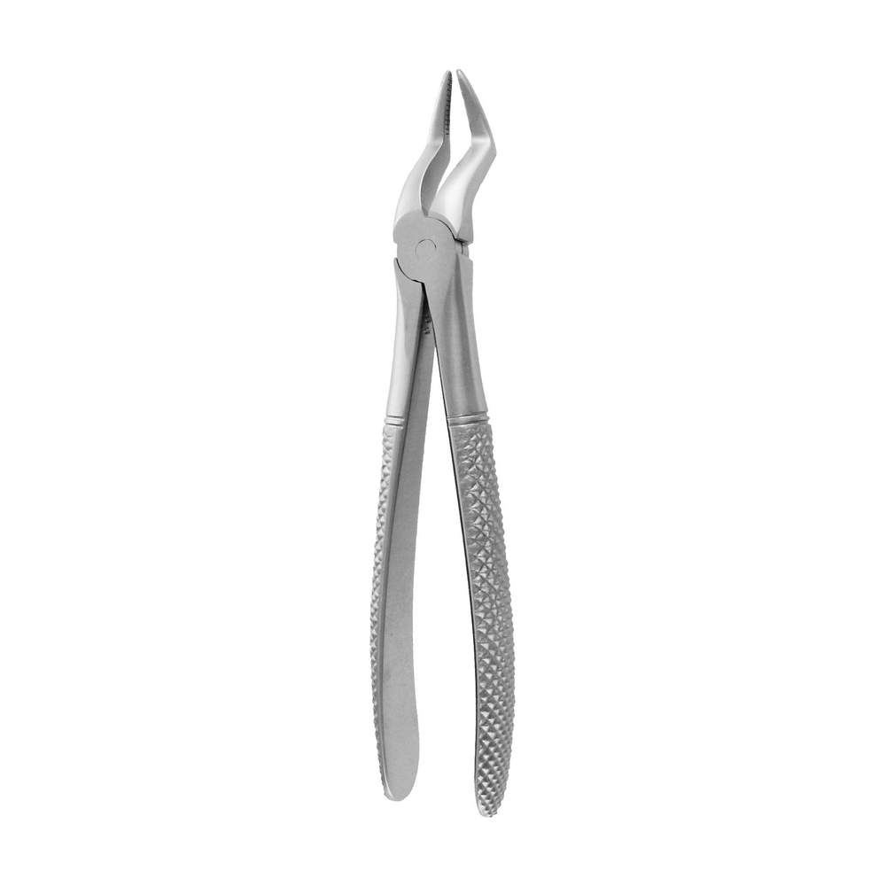 Extracting Forceps – Roots