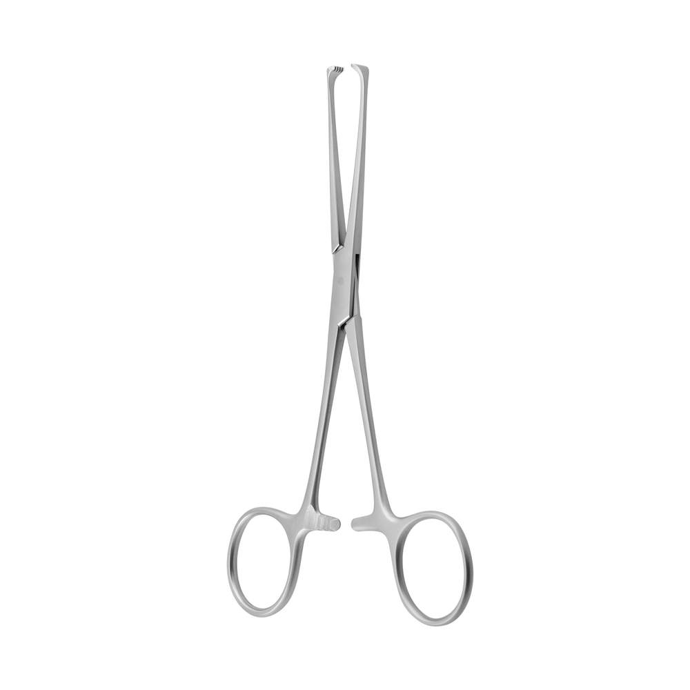 Tissue Forceps Allis 5 x 6 Straigh