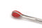 Tongue Forceps Young