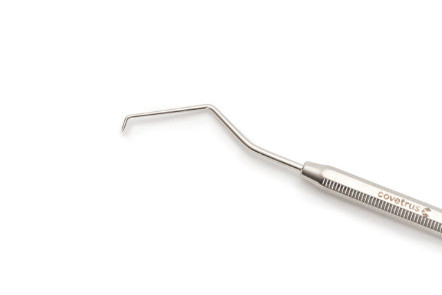 Sonda dental