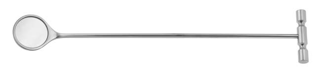 Tooth Probe