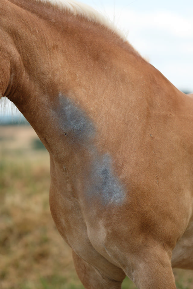 Aluminium Spray