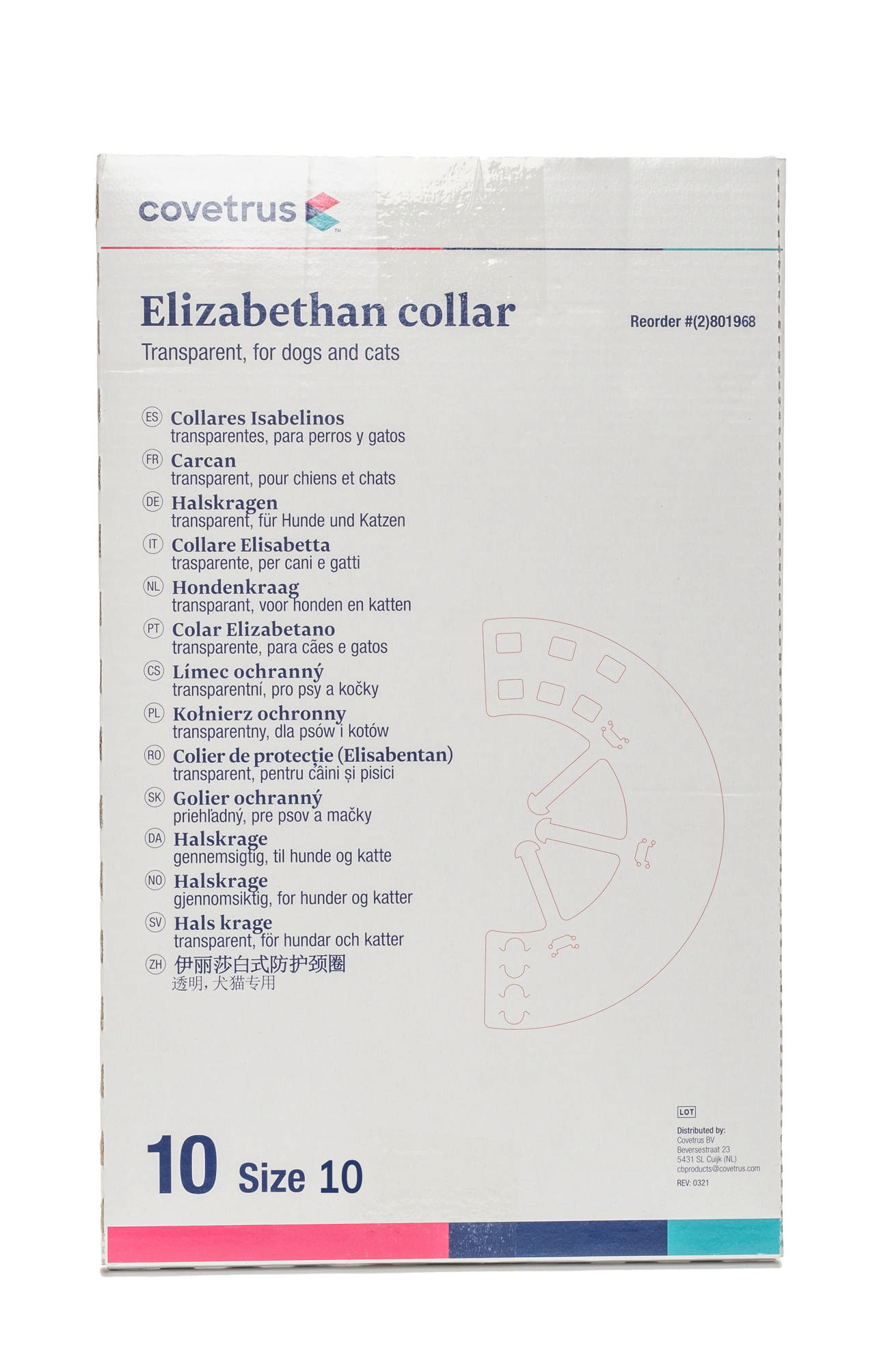 Elizabethan Collar