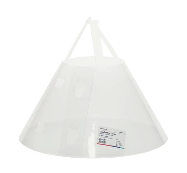 Elizabethan Collar