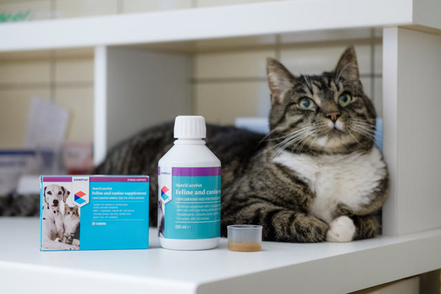 NutriCareVet Feline and Canine Supplement 