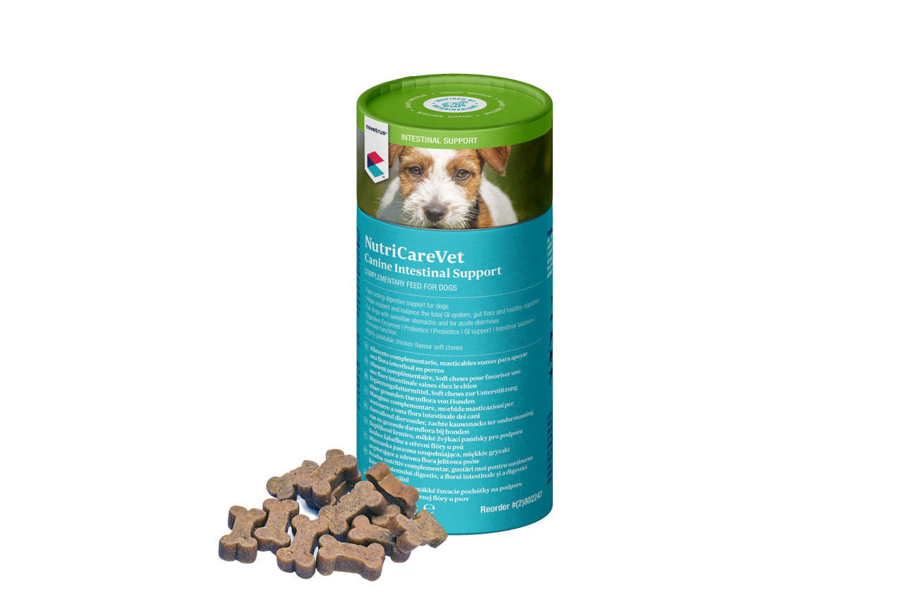 NutriCareVet Canine Intestinal Support Soft Chews