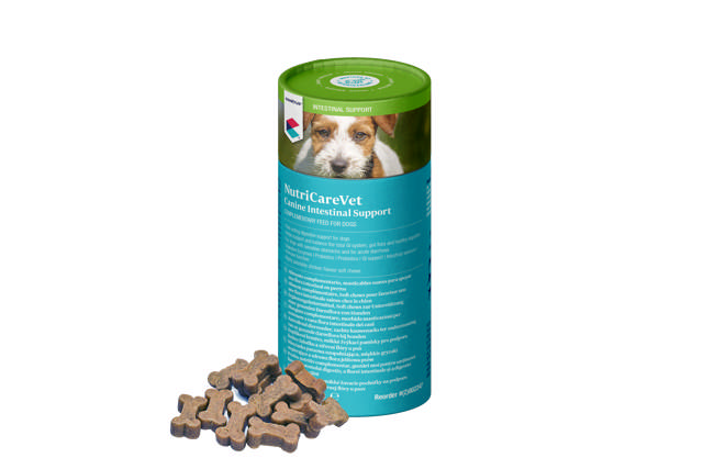 NutriCareVet Canine Intestinal Support Soft Chews