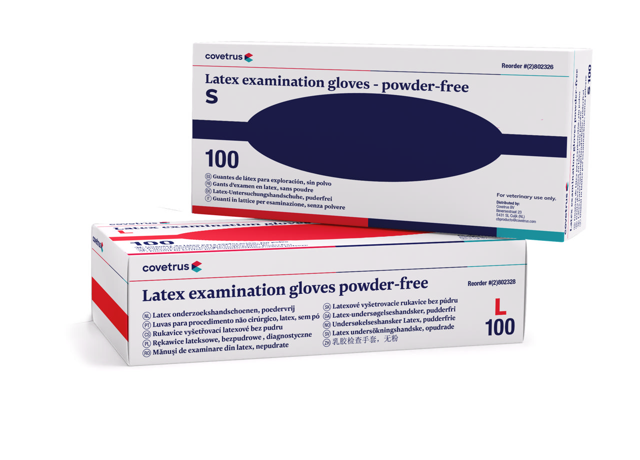 Latex Examination Gloves 