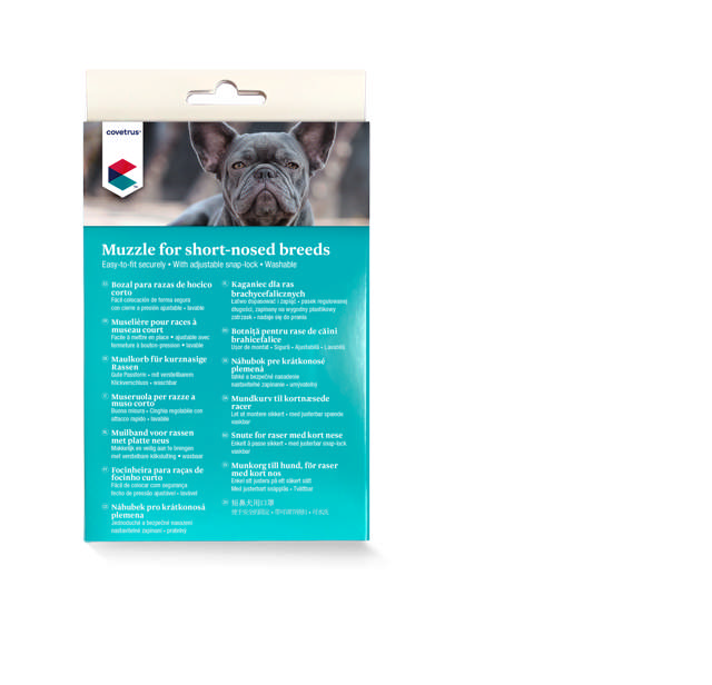 Dog Muzzle Short-nosed Breeds