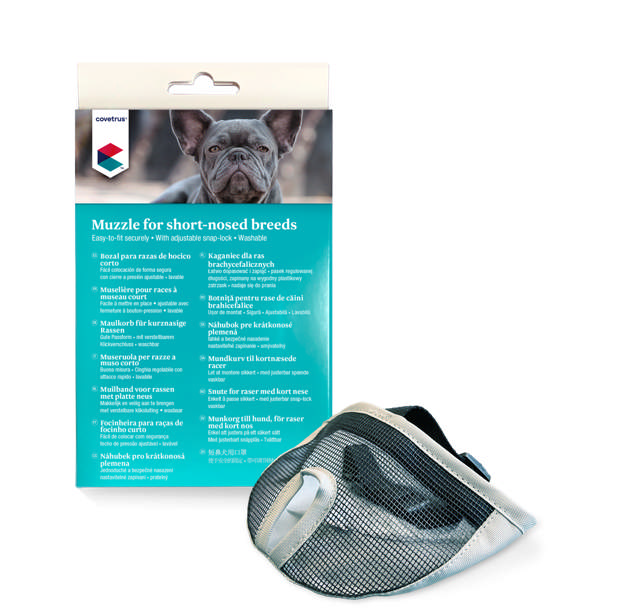 Dog Muzzle Short-nosed Breeds