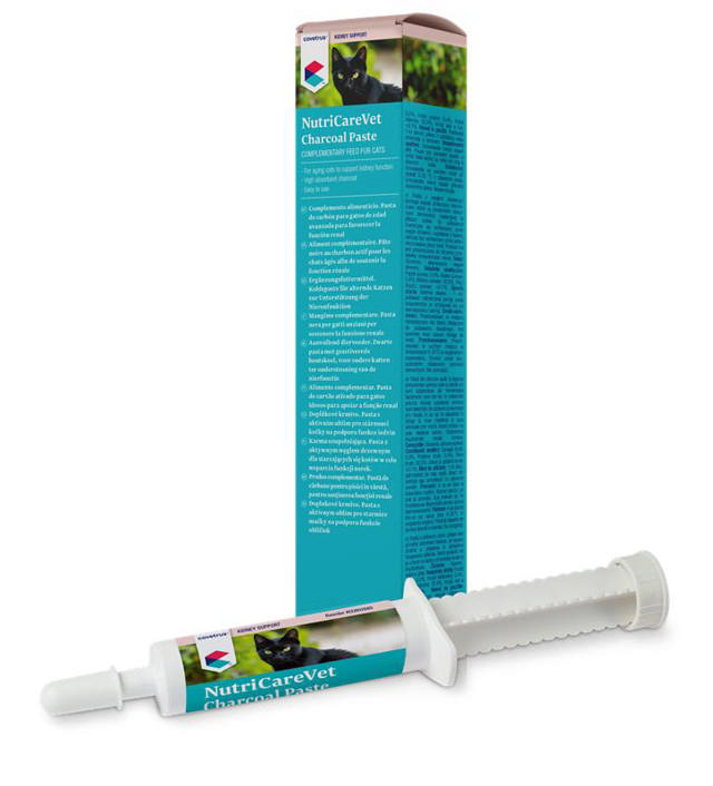 Charcoal Paste
